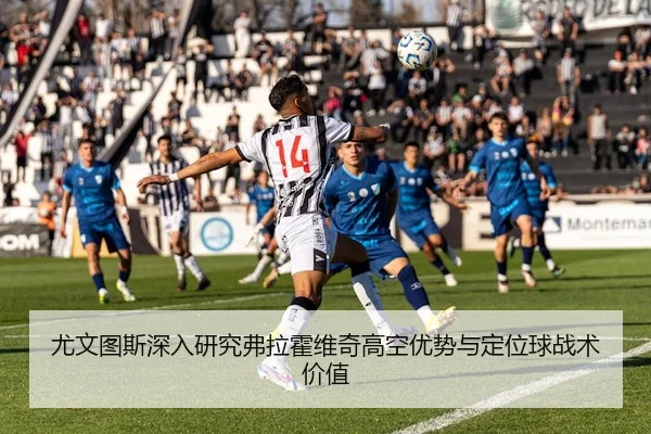 you-wen-tu-si-shen-ru-yan-jiu-fu-la-huo-wei-qi-gao-kong-you-shi-yu-ding-wei-qiu-zhan-shu-jia-zhi-2-254.jpg